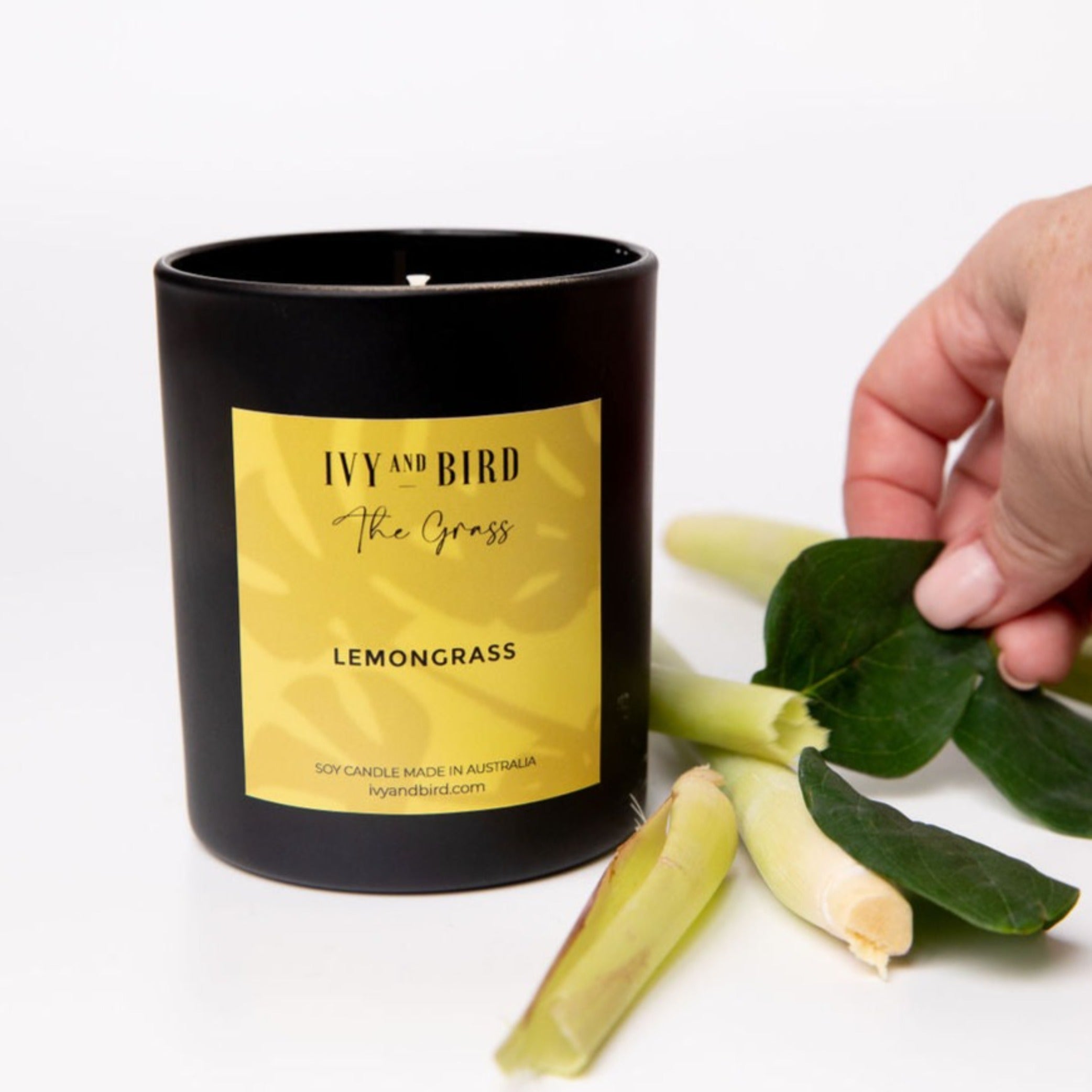 Lemongrass Soy candle in black jar