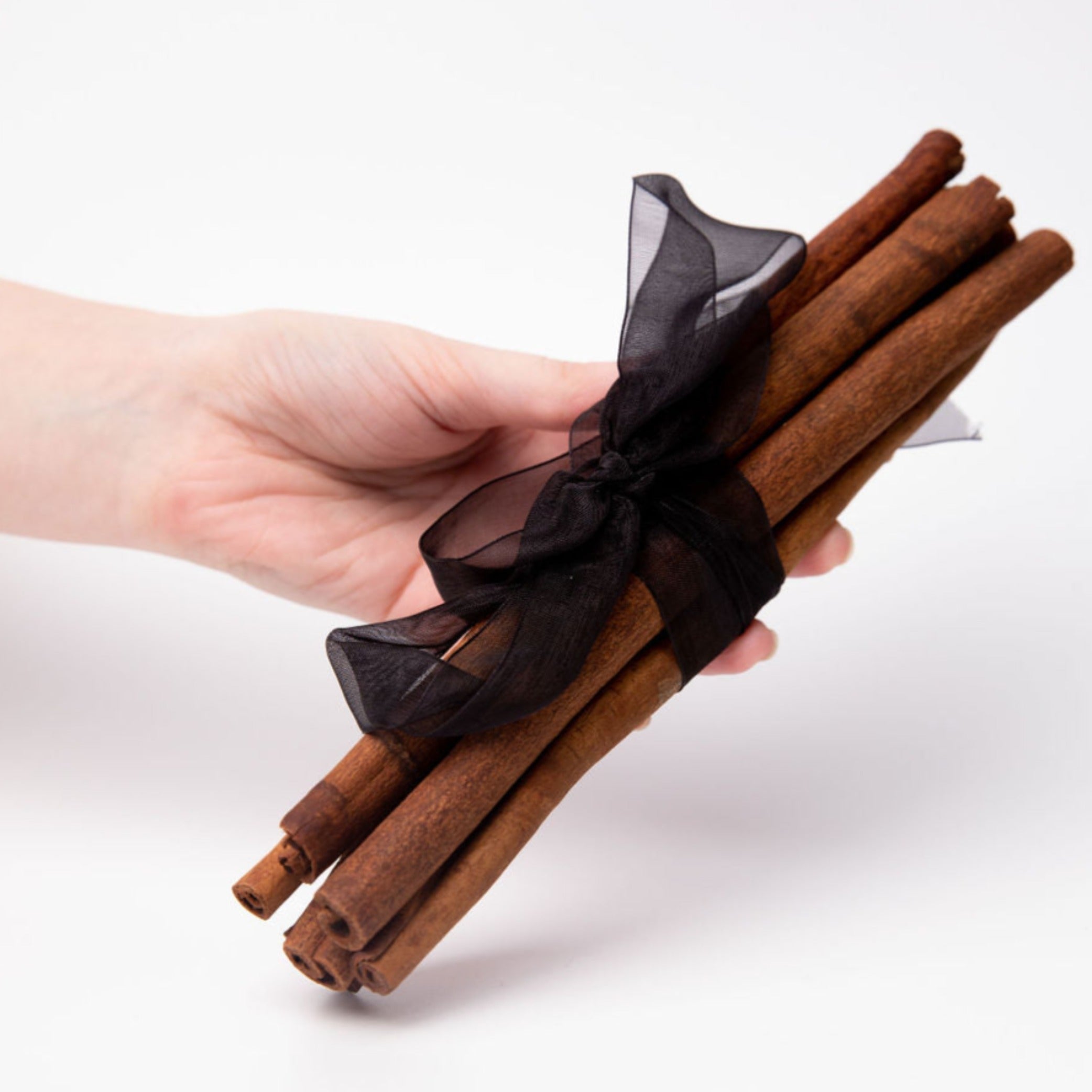 Bunch of sweet cinnamon oil quills held in hand on white background