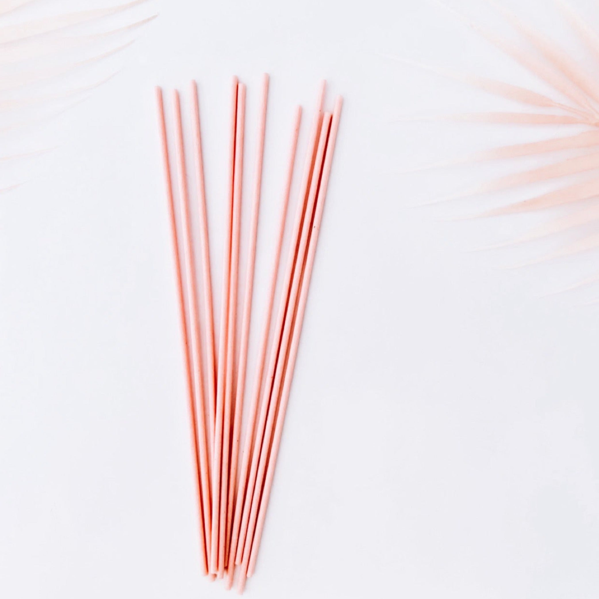 REED STICKS FOR DIFFUSERS - PACK OF 10