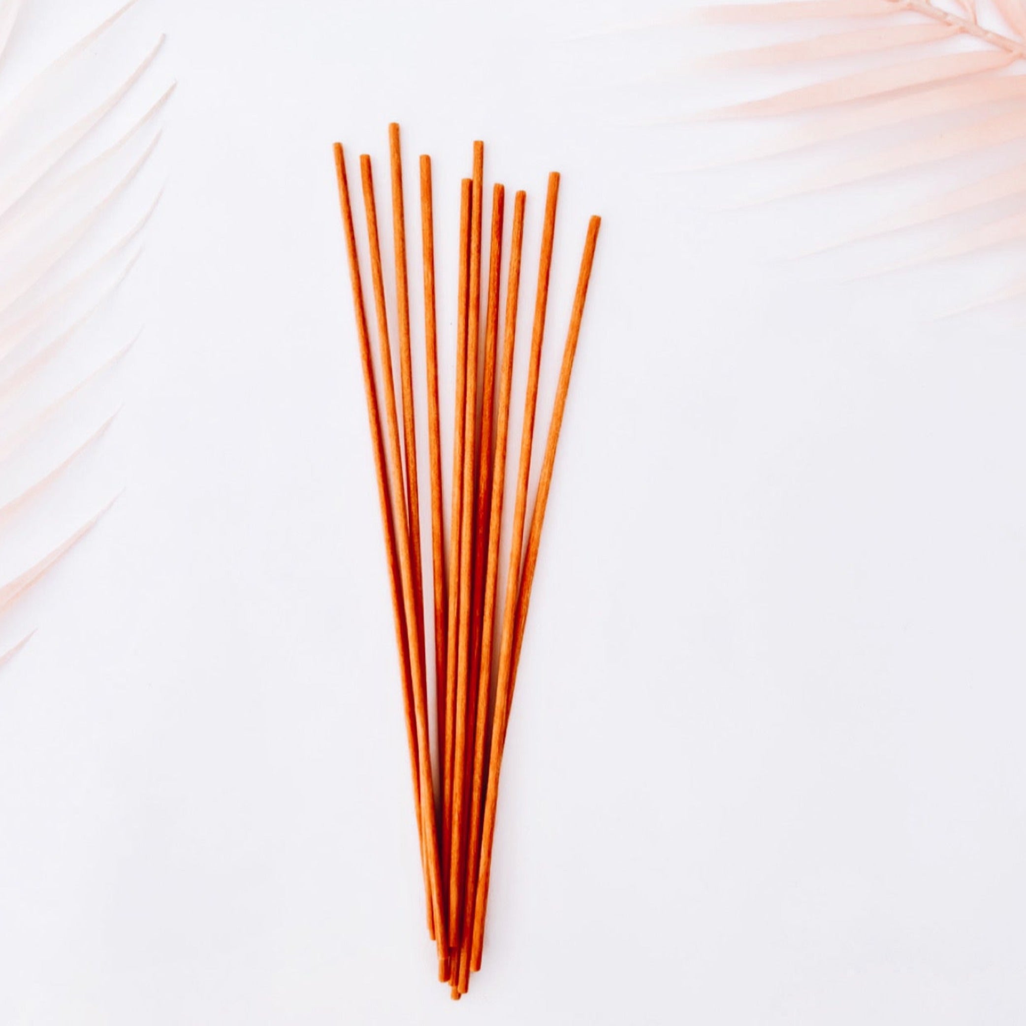 REED STICKS FOR DIFFUSERS - PACK OF 10