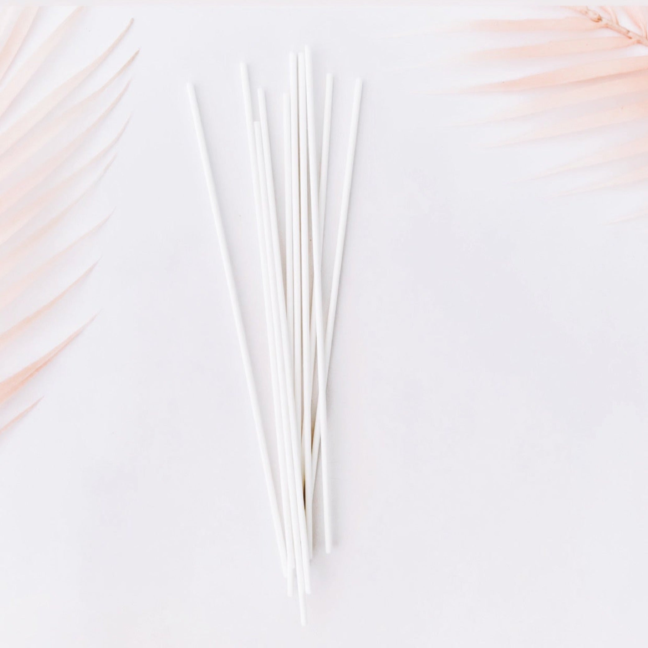 REED STICKS FOR DIFFUSERS - PACK OF 10