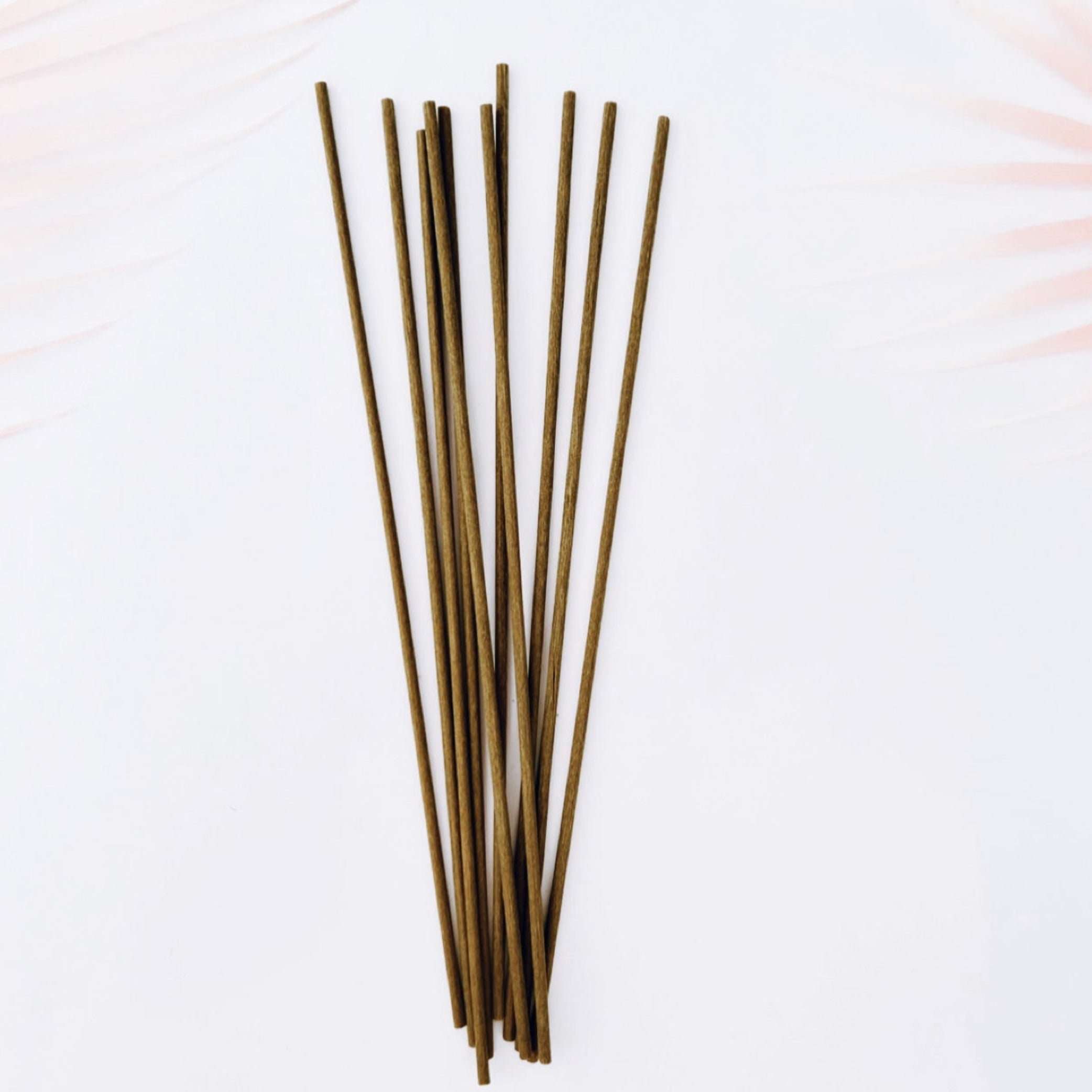 REED STICKS FOR DIFFUSERS - PACK OF 10