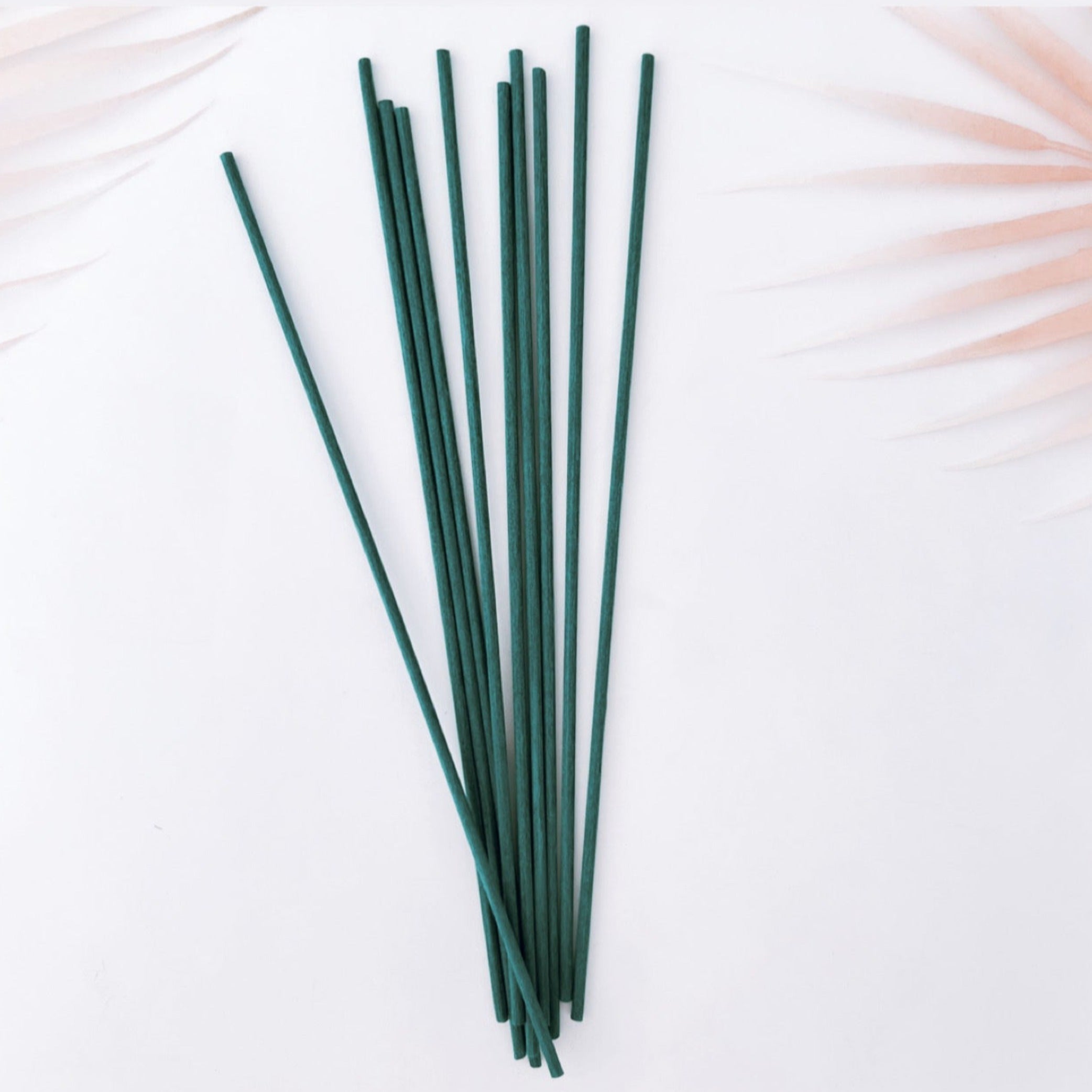 REED STICKS FOR DIFFUSERS - PACK OF 10