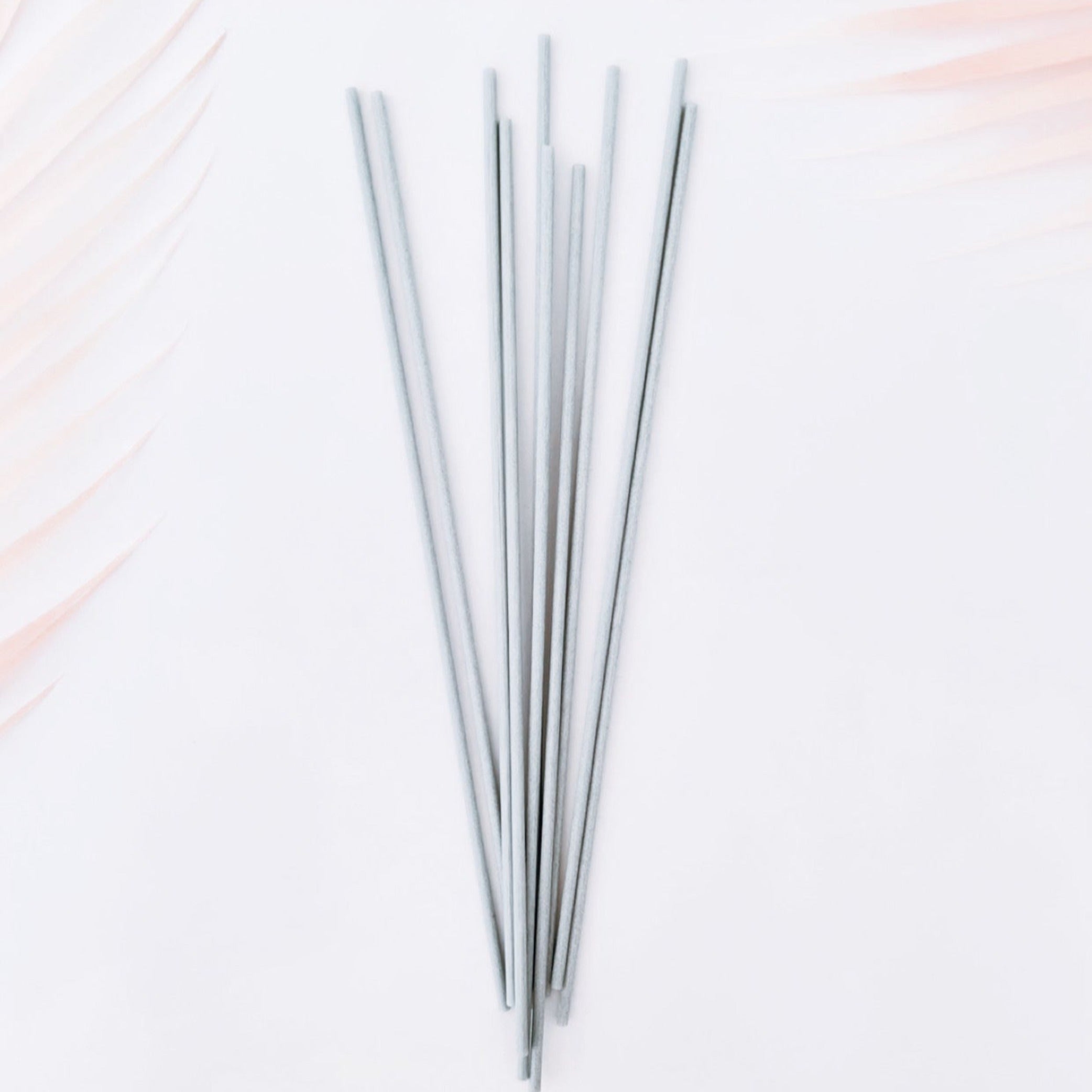 REED STICKS FOR DIFFUSERS - PACK OF 10